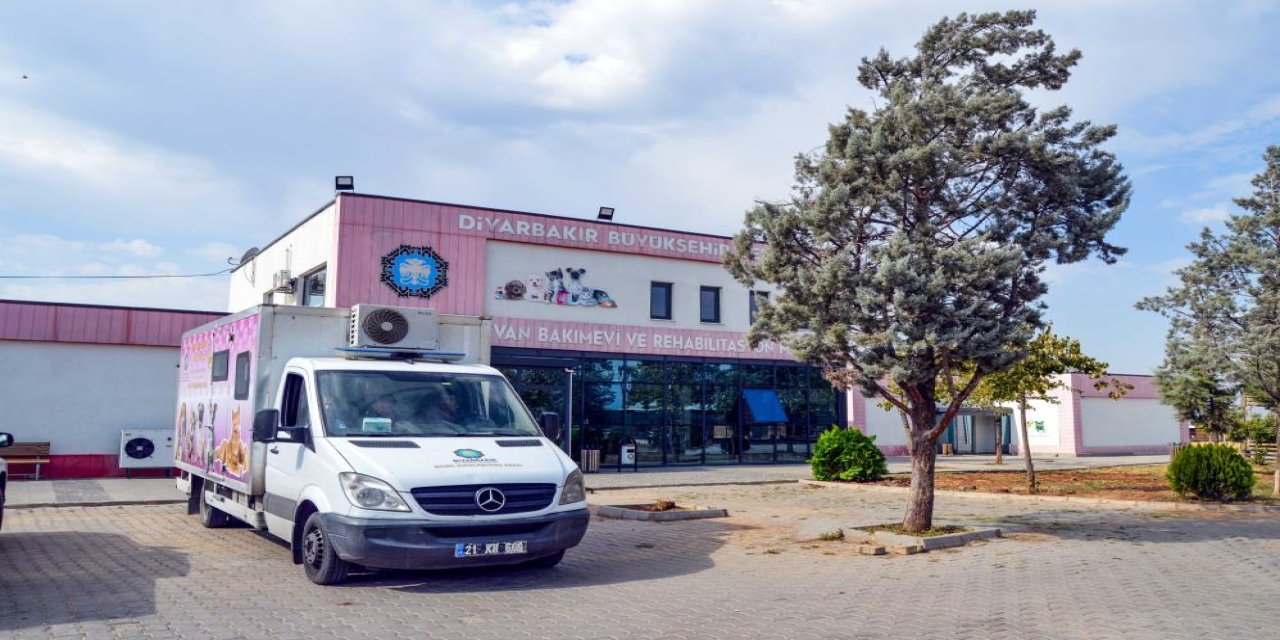 Diyarbakır'da 10 köpek mobil araçla kısırlaştırıldı