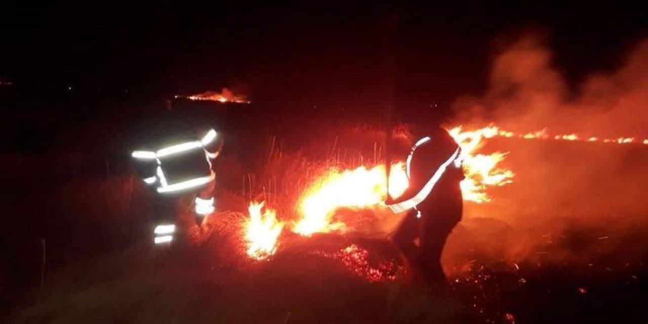 Yüksekova'da kuş cenneti alev alev yandı