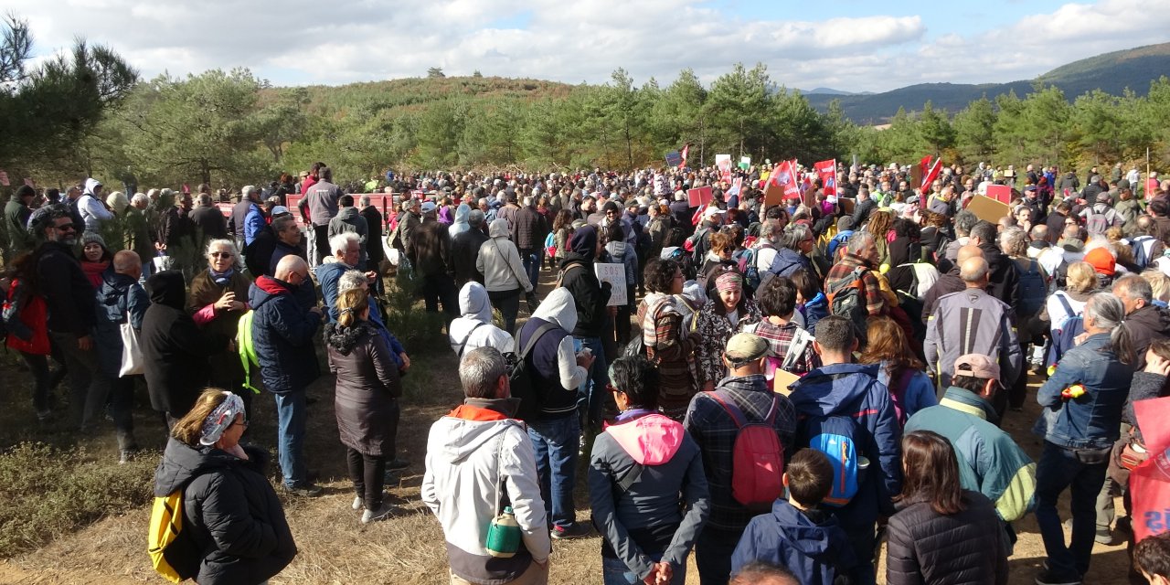 Çevrecilerden Kaz Dağları'ndaki ağaç kesimine tepki