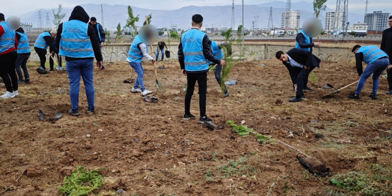 Cizre Denetimli Serbestlik Müdürlüğü Yükümlüleri, Milli Ağaçlandırma Günü’nde fidan dikti
