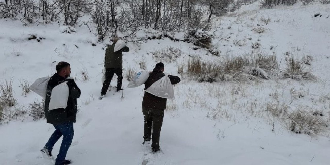Yaban hayvanları için 350 kilogram besi yemi doğaya bırakıldı