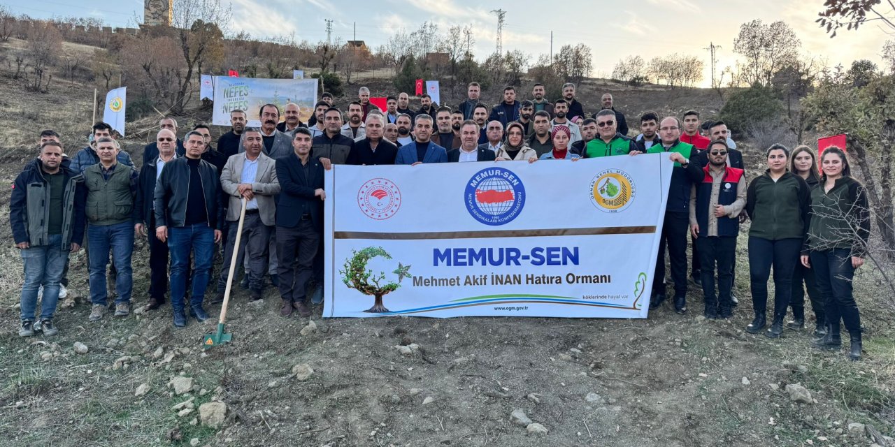 Şırnak’ta Memur-Sen üyeleri Mehmet Akif İnan Hatıra Ormanına Ağaç Dikti