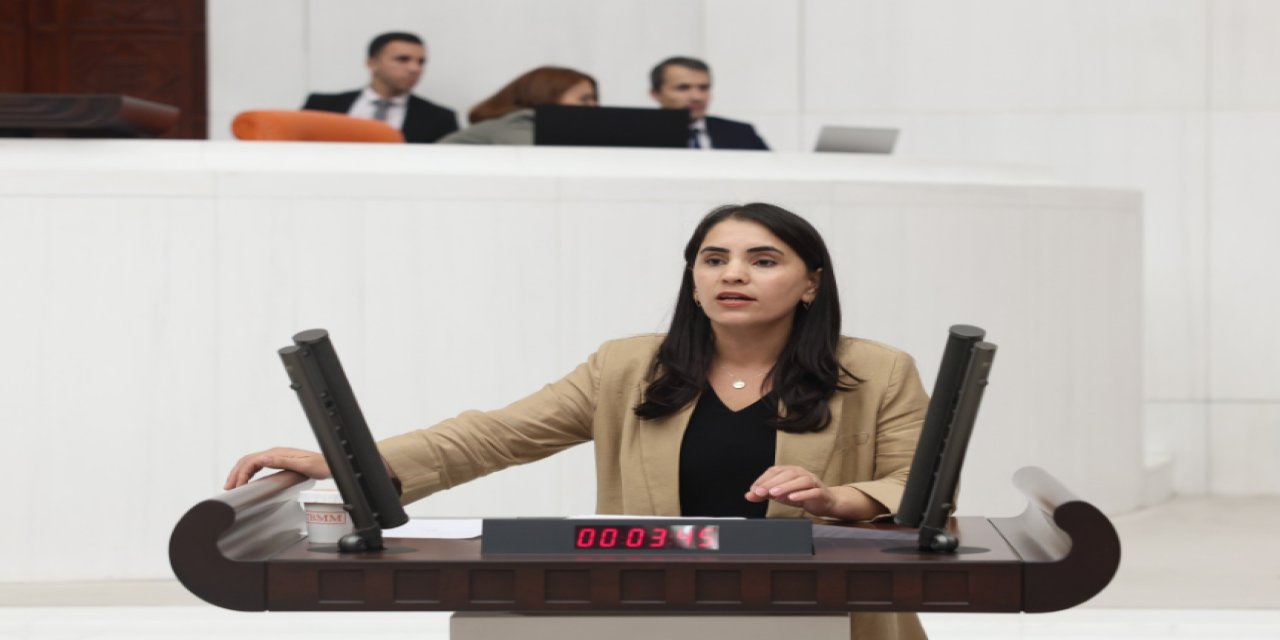 Vekil Aslan, Şırnak’taki Vakıf Faaliyetlerini TBMM’de Gündeme Getirdi