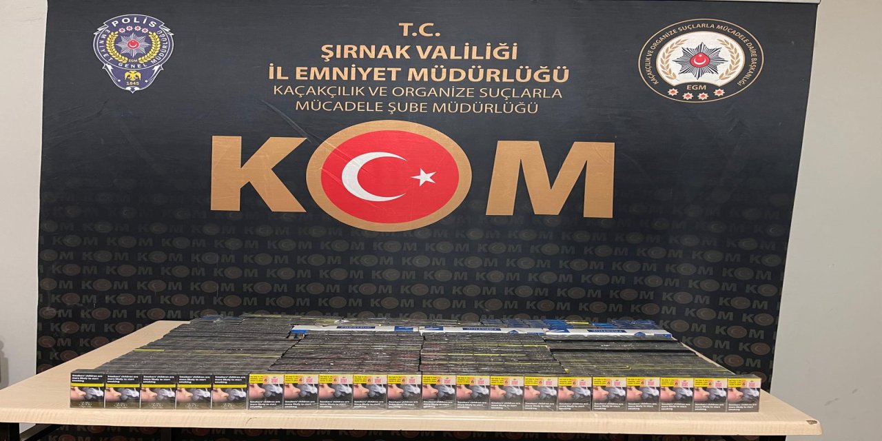 Şırnak'ta çok sayıda gümrük kaçağı ürün ele geçirildi: 48 şüpheliye işlem yapıldı