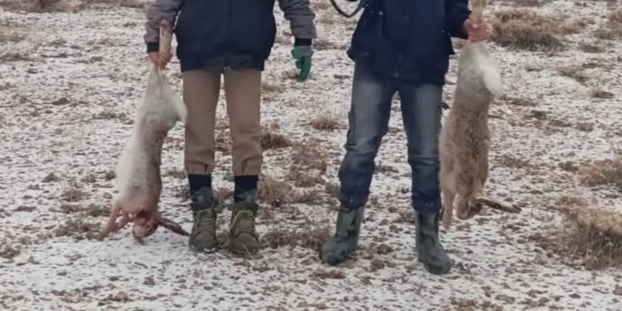 Vurduğu tavşanları paylaştı, 14 Bin TL Cezayı da aldı