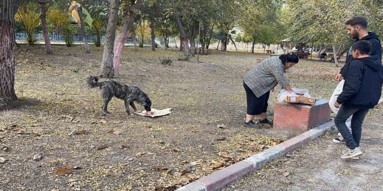 Osmaniye'de sokak hayvanları için doğaya yem bırakıldı