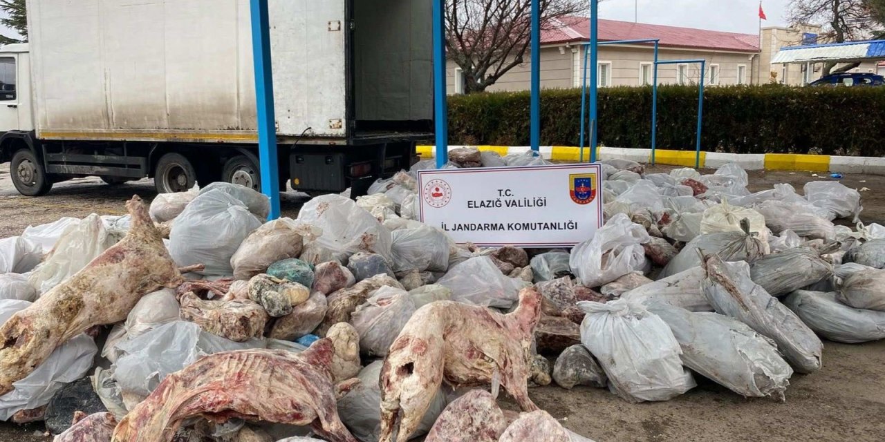 Kamyon kasasında 3 milyon liralık kaçak et ele geçirildi