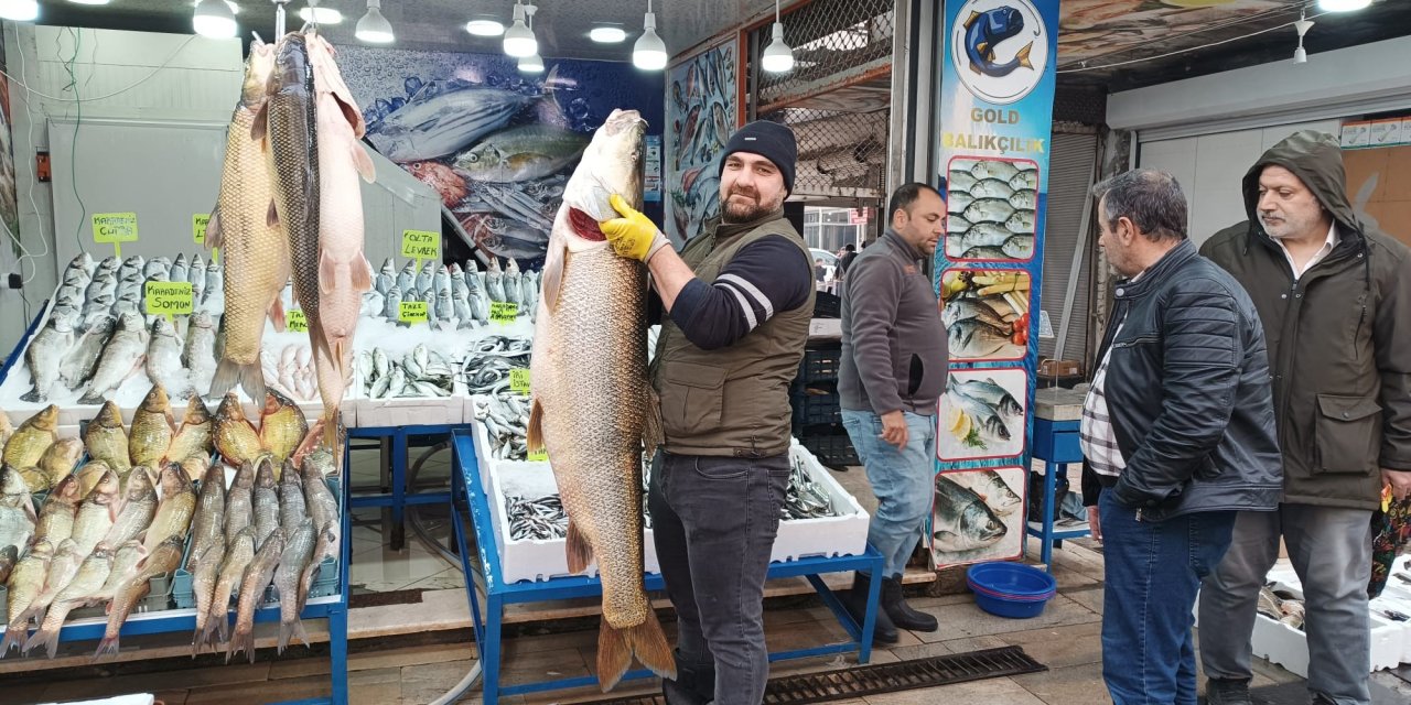 Botan Çayı'nda 45 kilo ağırlığında turna balığı yakalandı