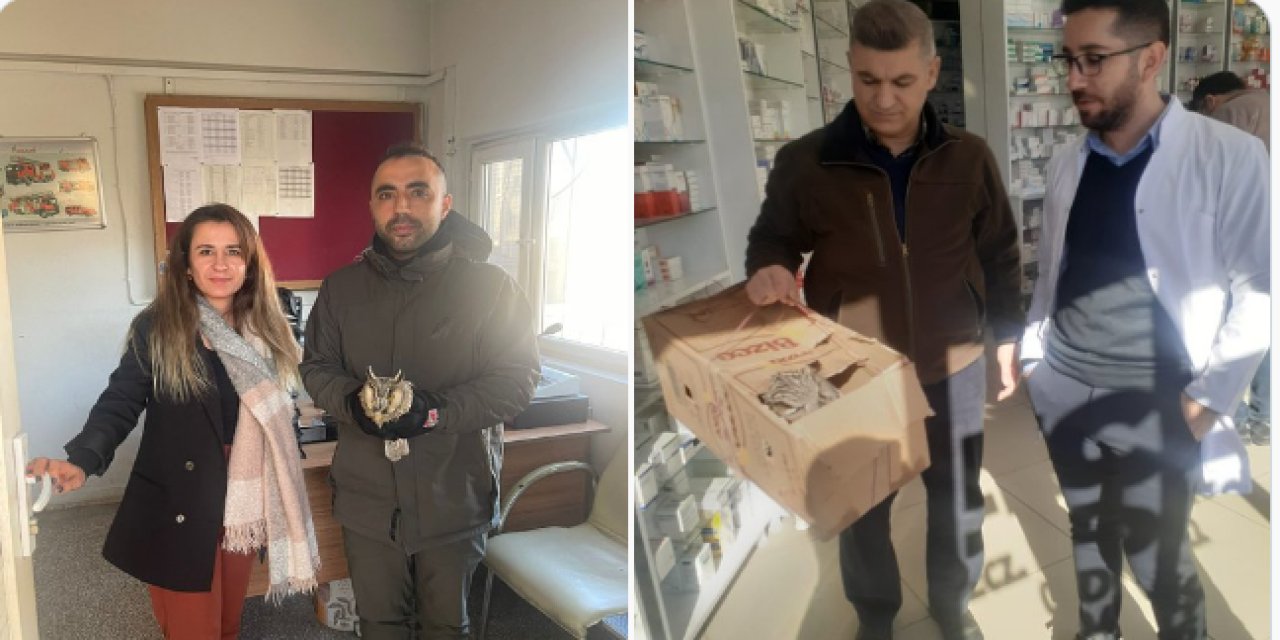 Şırnak’ta yaralı bulunan puhular emin ellere teslim edildi
