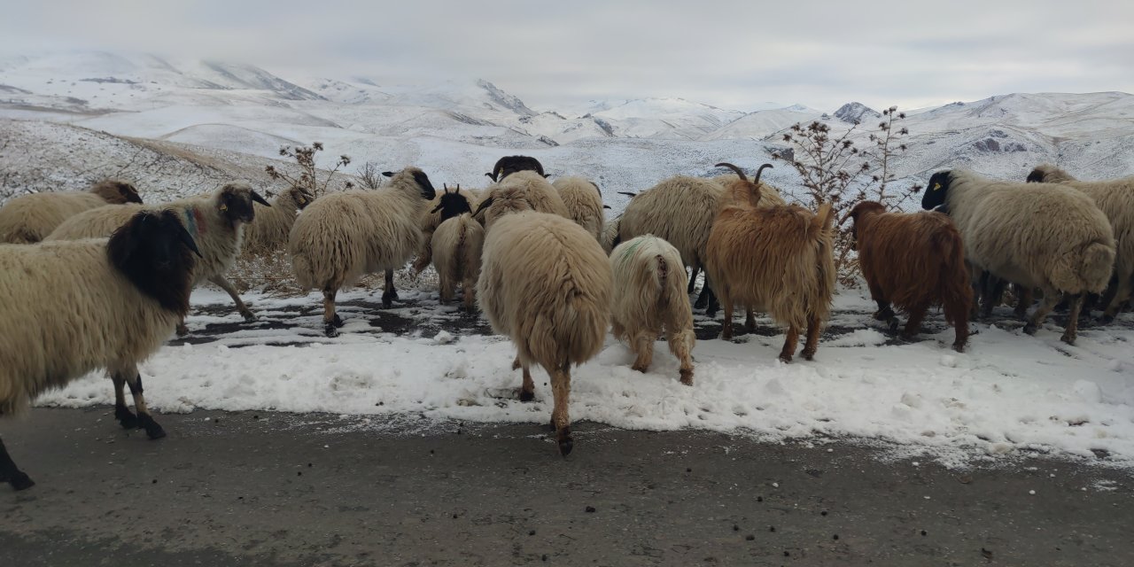 Doğu'da besicilerin kış mesaisi sürüyor