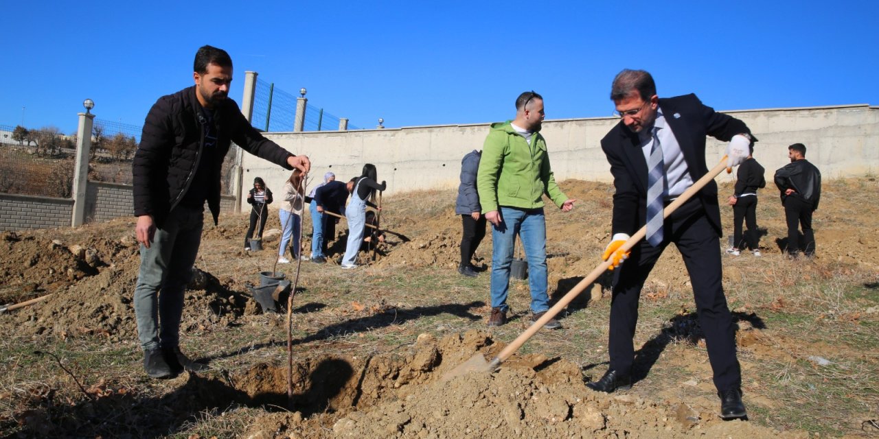 Şırnak Üniversitesinde Bin 400 fidan Toprakla Buluştu