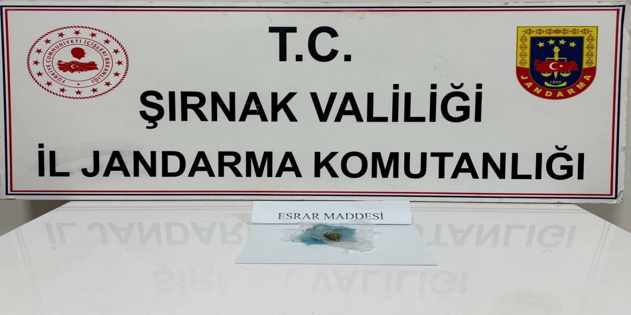 Şırnak’ta  Jandarma 3 milyon 950 bin TL’lik kaçakçılığı önledi: 43 gözaltı