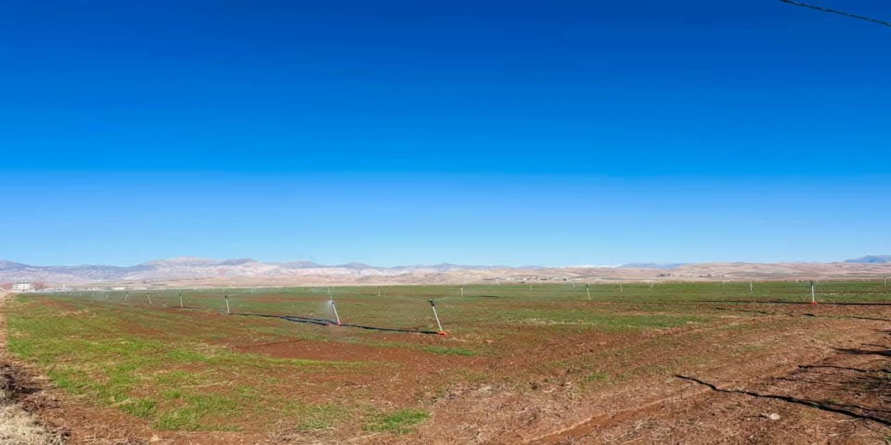 Şırnak'ta Tarım Kuraklık nedeniyle zor durumda