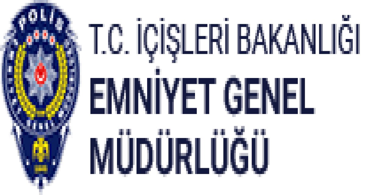 Cumhurbaşkanı Erdoğan’a hakaret eden N.K. tutuklandı