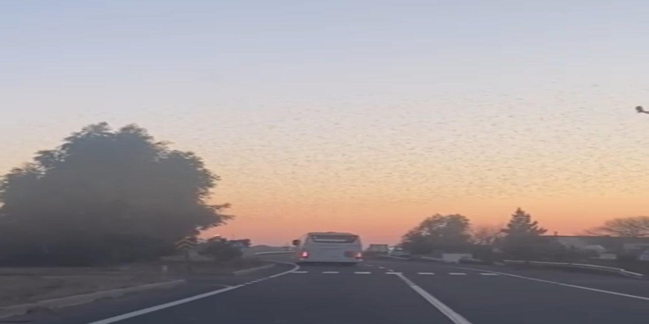 VİDEOLU- Şırnak’ta Gün Batımında Kuşların Büyüleyici Dansı