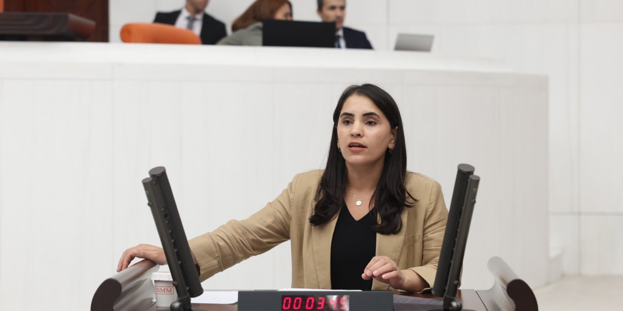 DEM’li Vekilden Şırnak’ta uygulanan Şafak Projesi ile ilgili Şok iddia!