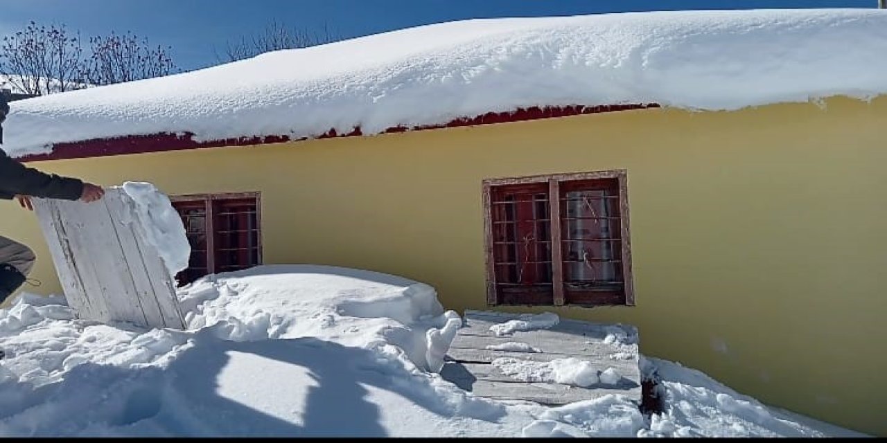 Aç kalan ayılar evlere saldırdı!