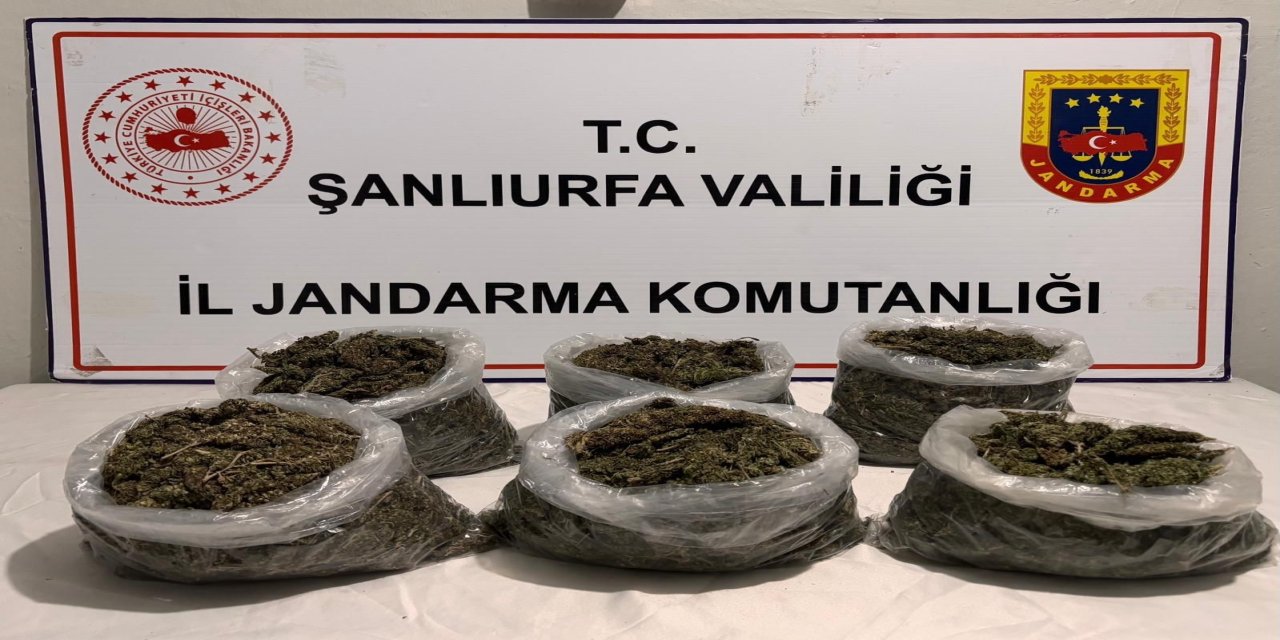 Şanlıurfa'da uyuşturucu operasyonu: 16 gözaltı