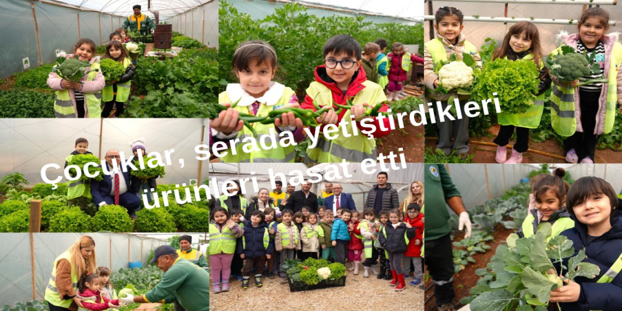 Çocuklar, serada yetiştirdikleri ürünleri hasat etti
