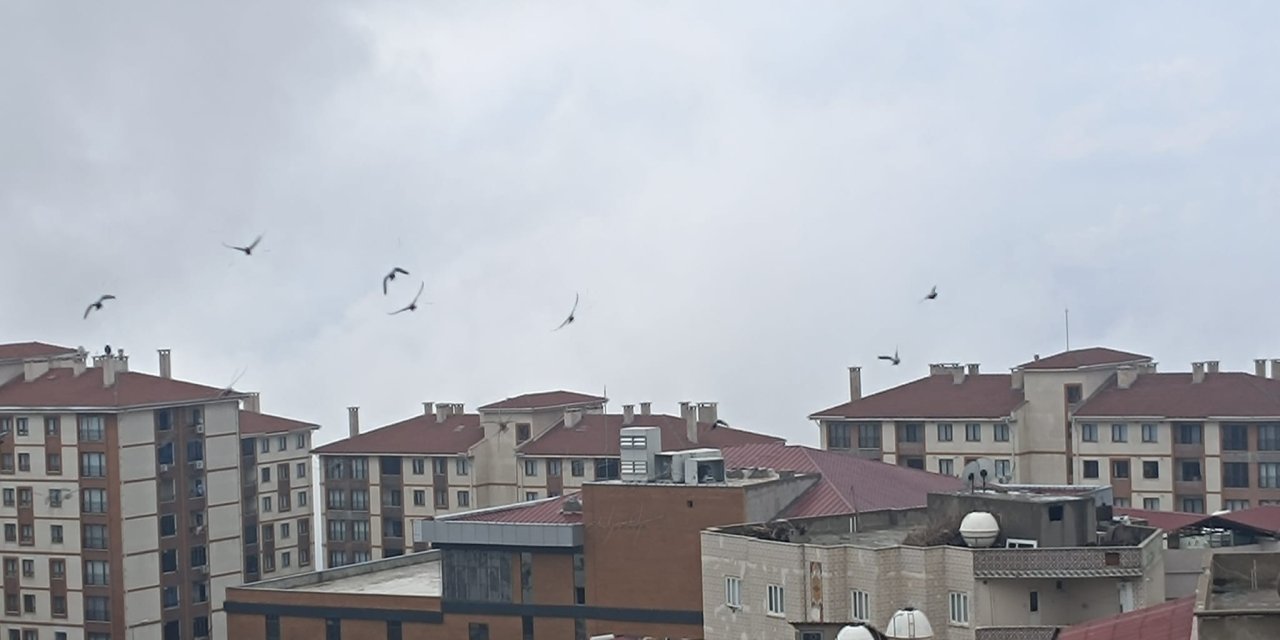 Şırnak’ın 3 ilçesine uyarı yapıldı