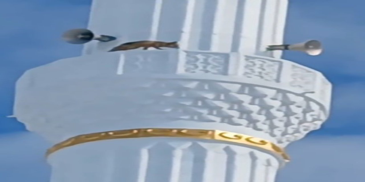 Minareye çıkan tilki hayrete düşürdü Video