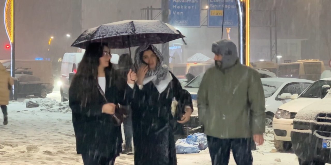 Yüksekova’da lapa lapa kar yağışı başladı