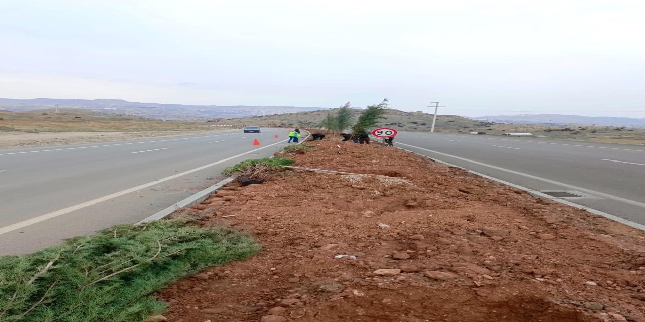 Şırnak’ın Çehresi Değişiyor: Yeni Yeşillendirme Projesi Başladı