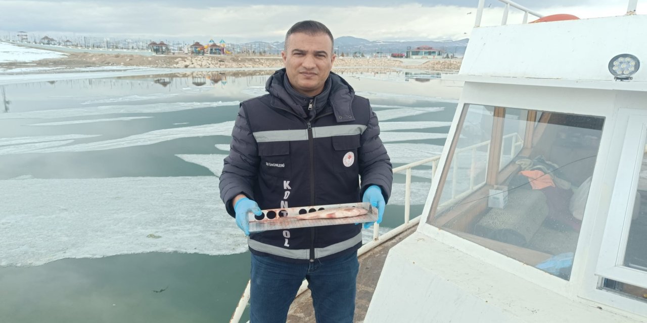 Yasaklarla korumaya çalışılan gizemli tür