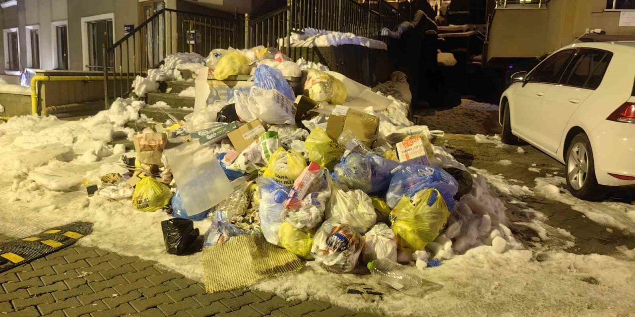 Zonguldak’ta toplanmayan çöpler tepkilere neden oldu