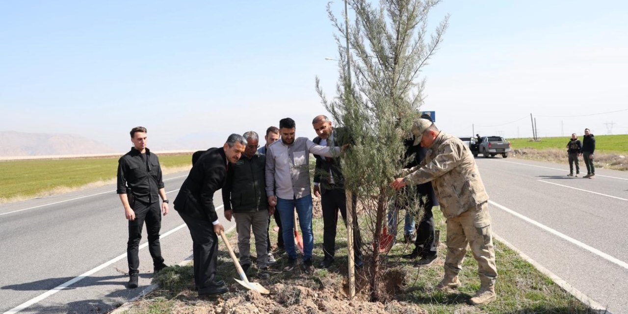 Şırnak Şerafettin Elçi Havalimanı’nda ağaçlandırma çalışması