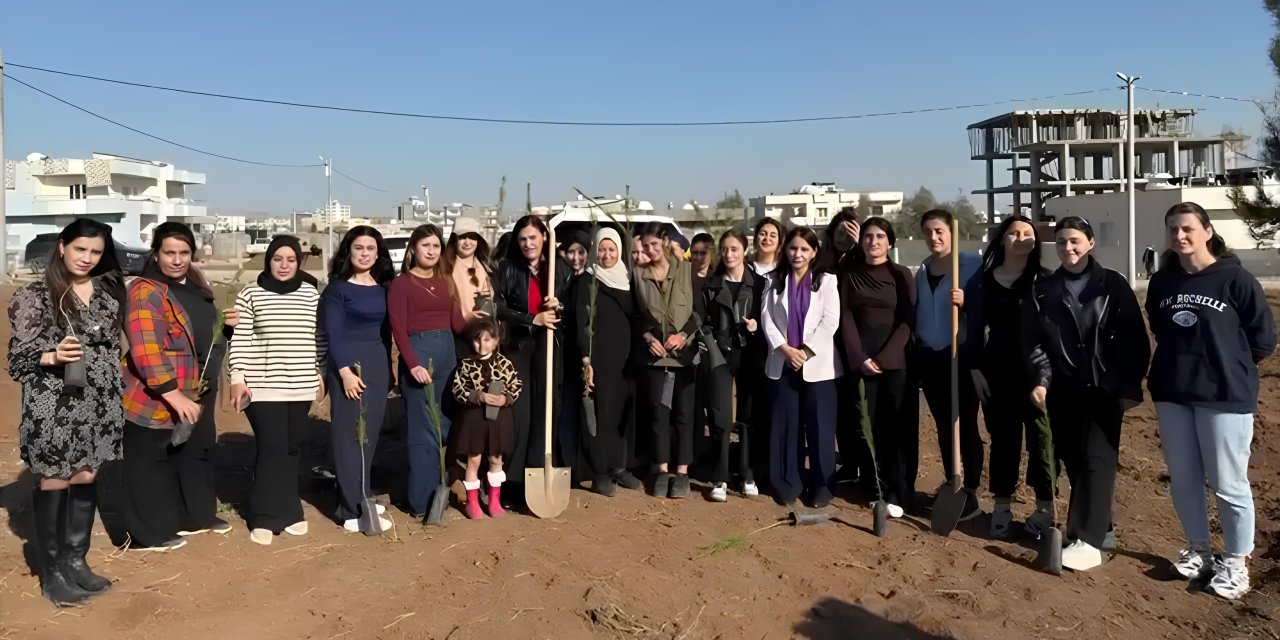 Silopi’de Kadınlar 8 Mart Kapsamında Ağaç Dikti