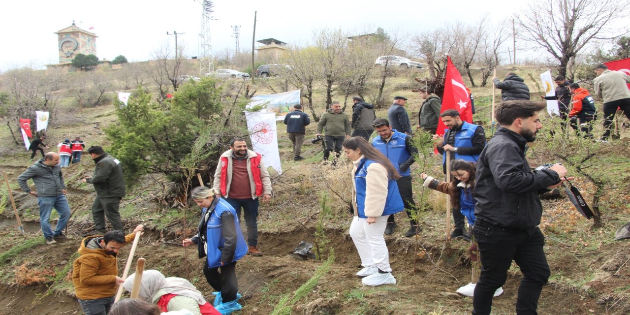 Şırnak’ta Dünya Ormancılık Günü kapsamında fidan dikimi yapıldı
