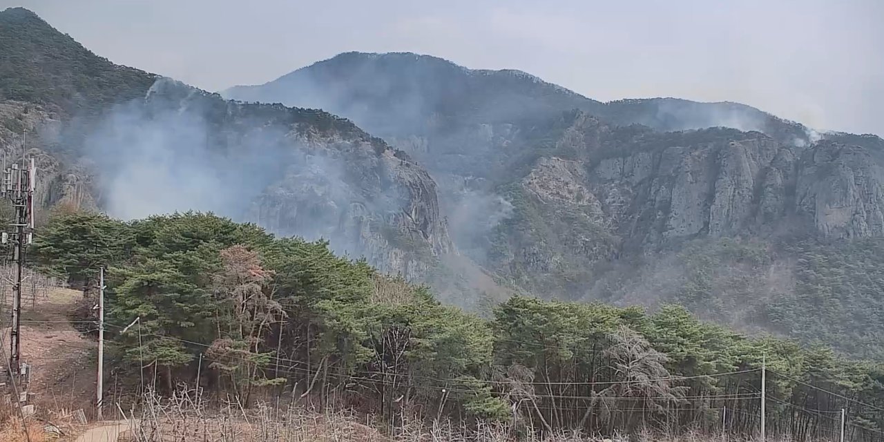 Güney Kore’deki orman yangınlarında bilanço artıyor: 26 ölü, 30 yaralı