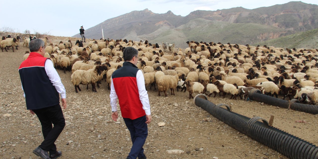 Bakan Yumaklı, Cudi Dağı eteklerinde kuzu koyun buluşmasını izledi