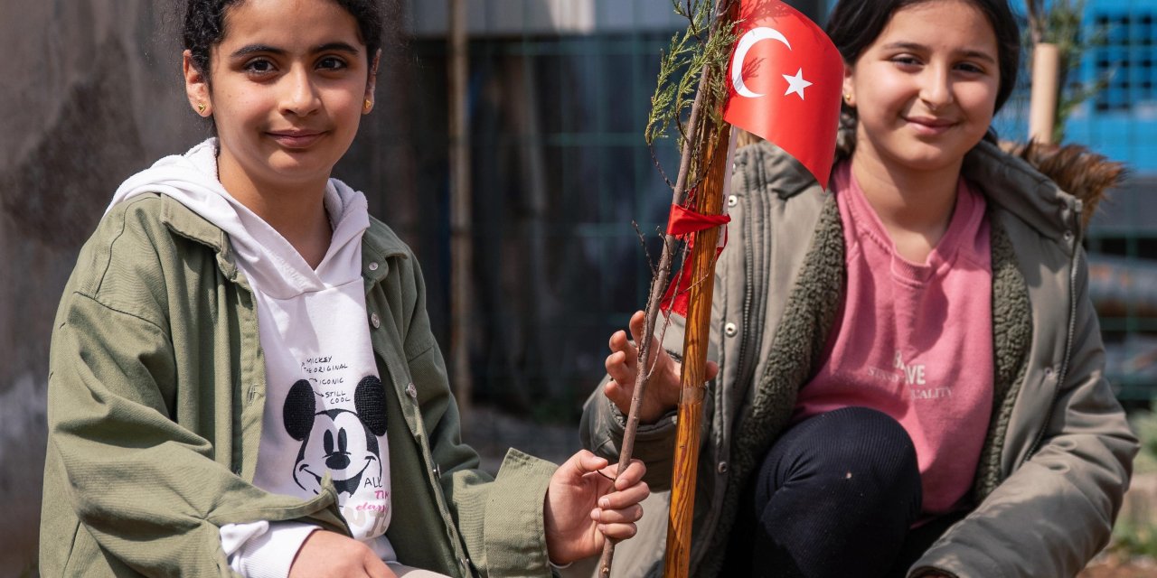 Kato Dağı eteklerine fidan diktiler