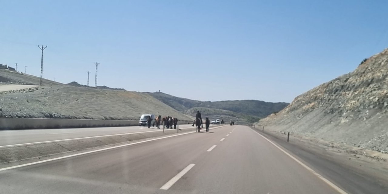 Şırnak'ta At ve Katırlarla Yapılan Geleneksel Göç Yolculuğu