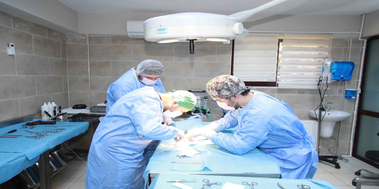 Kırık bacakla geldi, adı "Şanslı" oldu