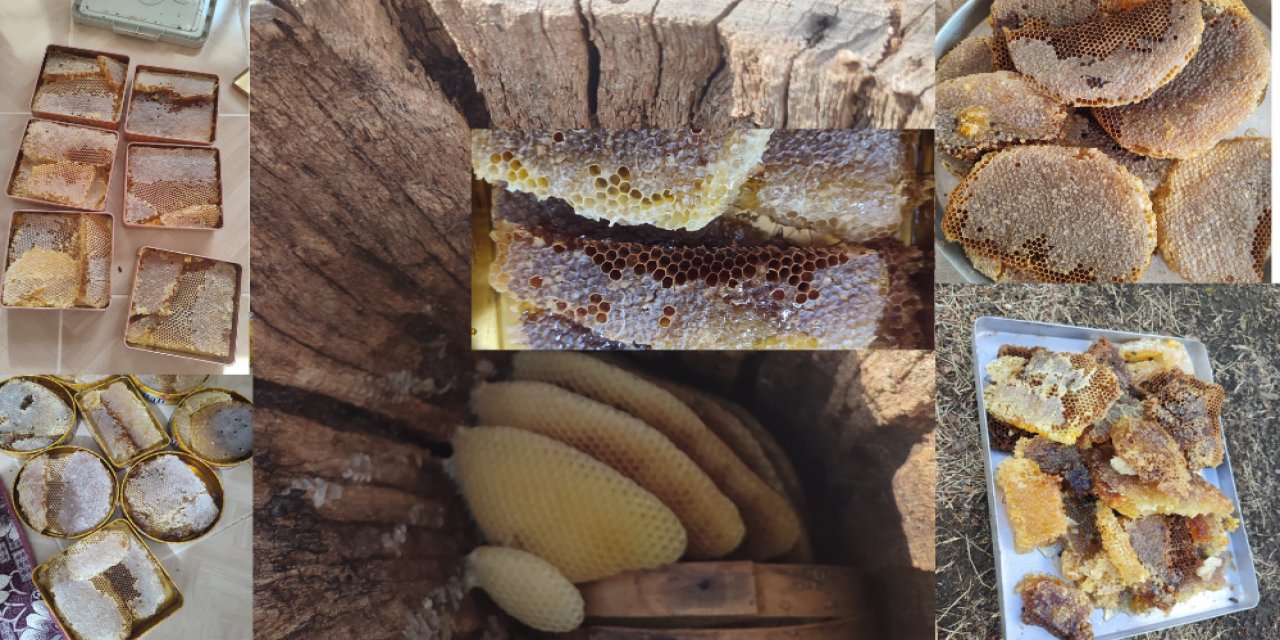 Şırnak Dağlarında Doğal Bal Avı! Bu İşin Sırrı Sabır ve Tutku