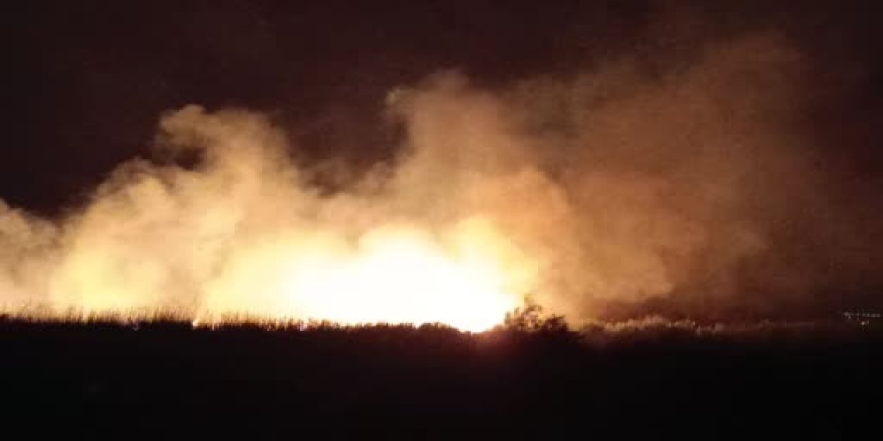 Mersin'in Silifke ilçesinde koruma altında bulunan Göksu Deltası'ndaki sazlık alanda yangın çıktı.