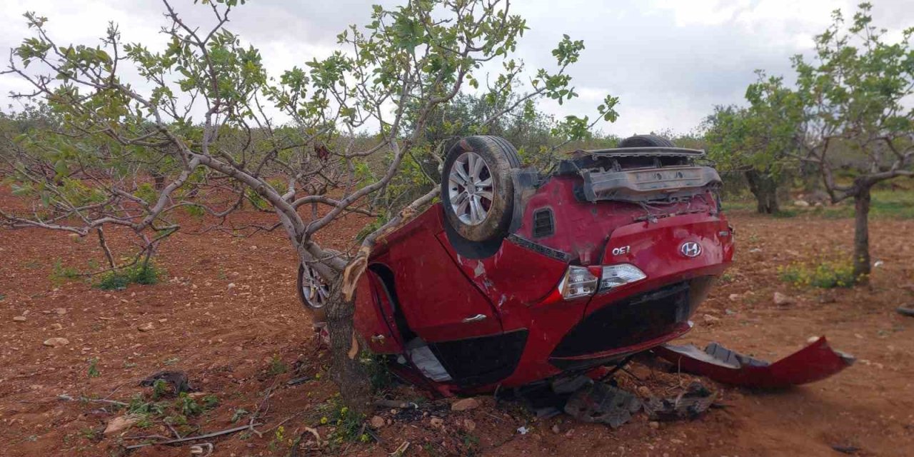 Lastiği patlayan otomobil fıstık bahçesine uçtu: 1 ölü, 2 yaralı