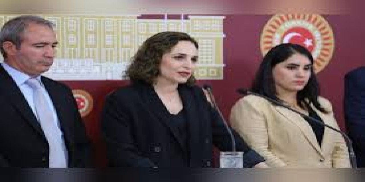 Çatışmada ölen PKK’lı için Cizre’de taziye kurulmasına izin çıkmadı, DEM’li vekiller soru önergesi verdi
