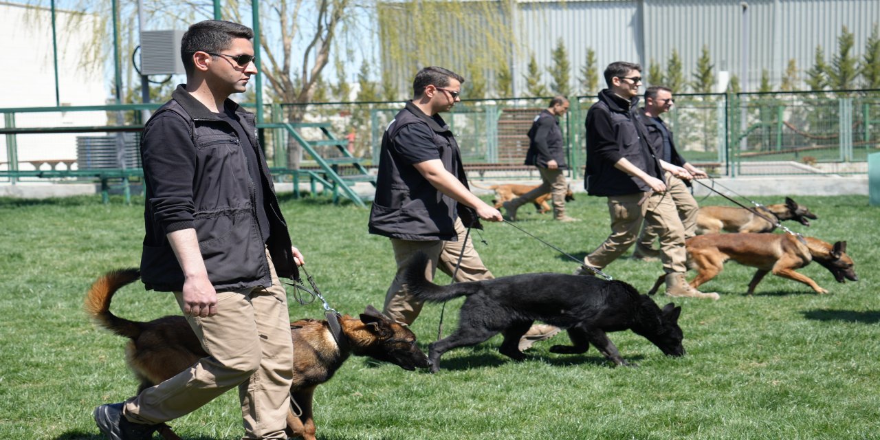 Sınırların gizli kahramanı hassas burun köpekler böyle eğitiliyor