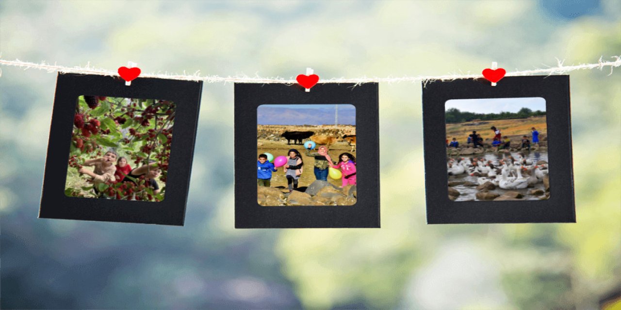 Şırnak’ta Öğretmenler Arası Fotoğraf Yarışması Sonuçlandı!