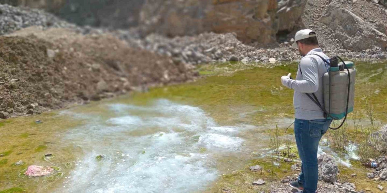 Hakkari’de yaz öncesi larva seferberliği başlatıldı