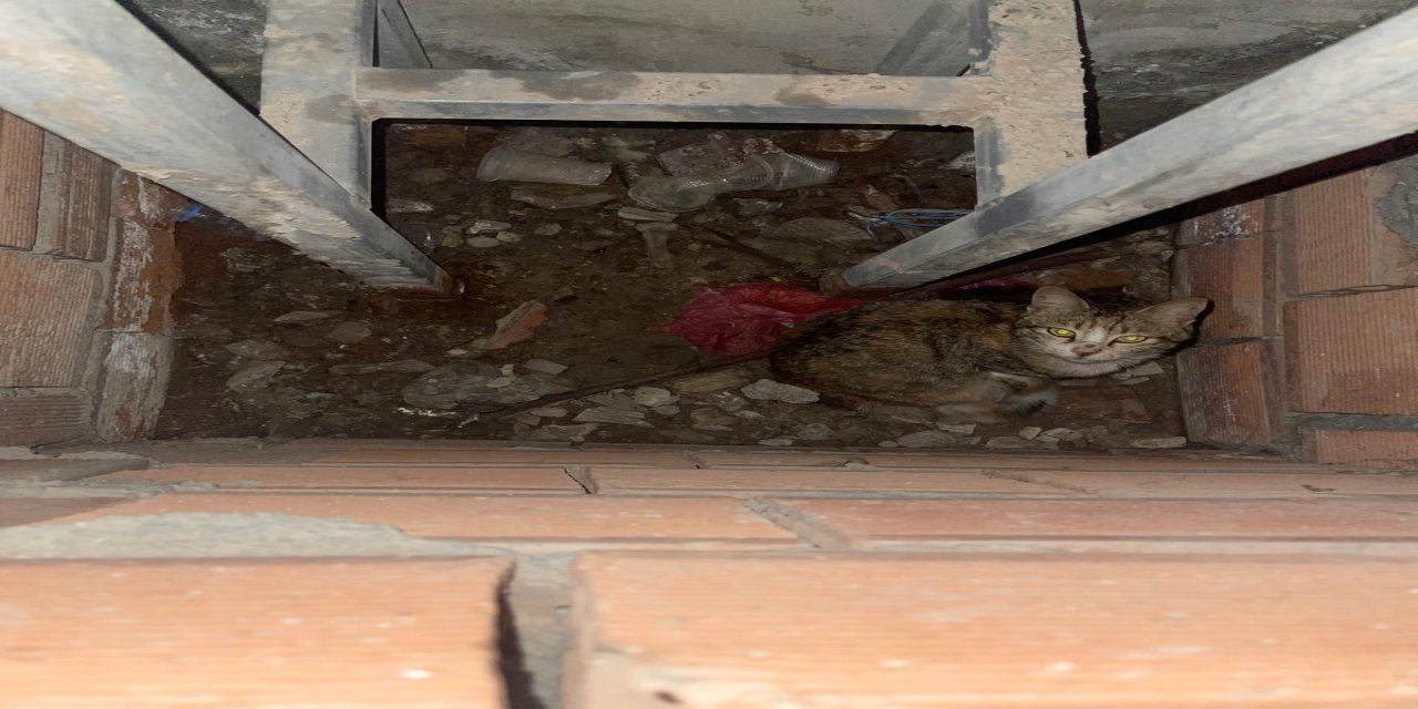 Şırnak’ta Bir Apartmandan Gelen Gizemli Sesin Sırrı Çözüldü