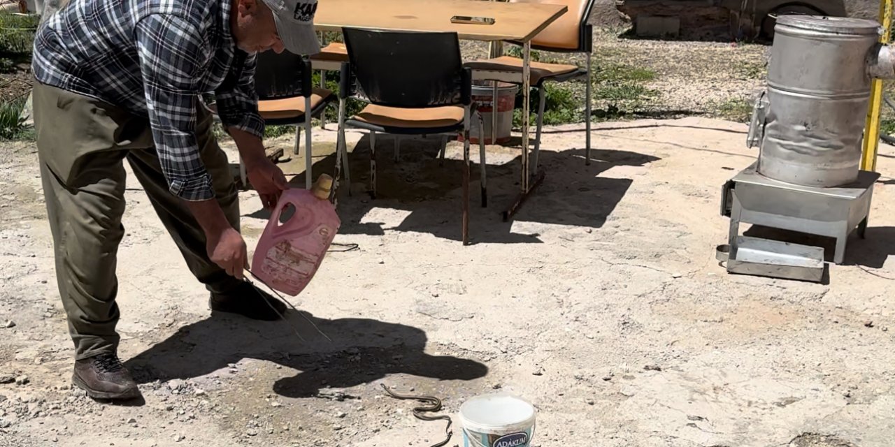 Hakkarili aile iki yıldır yılanlarla yaşıyor