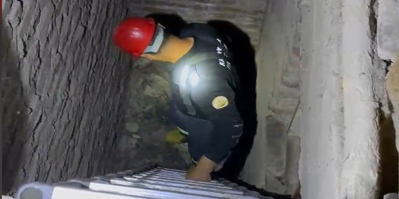Havalandırma boşluğuna düşen yavru kediler kurtarıldı