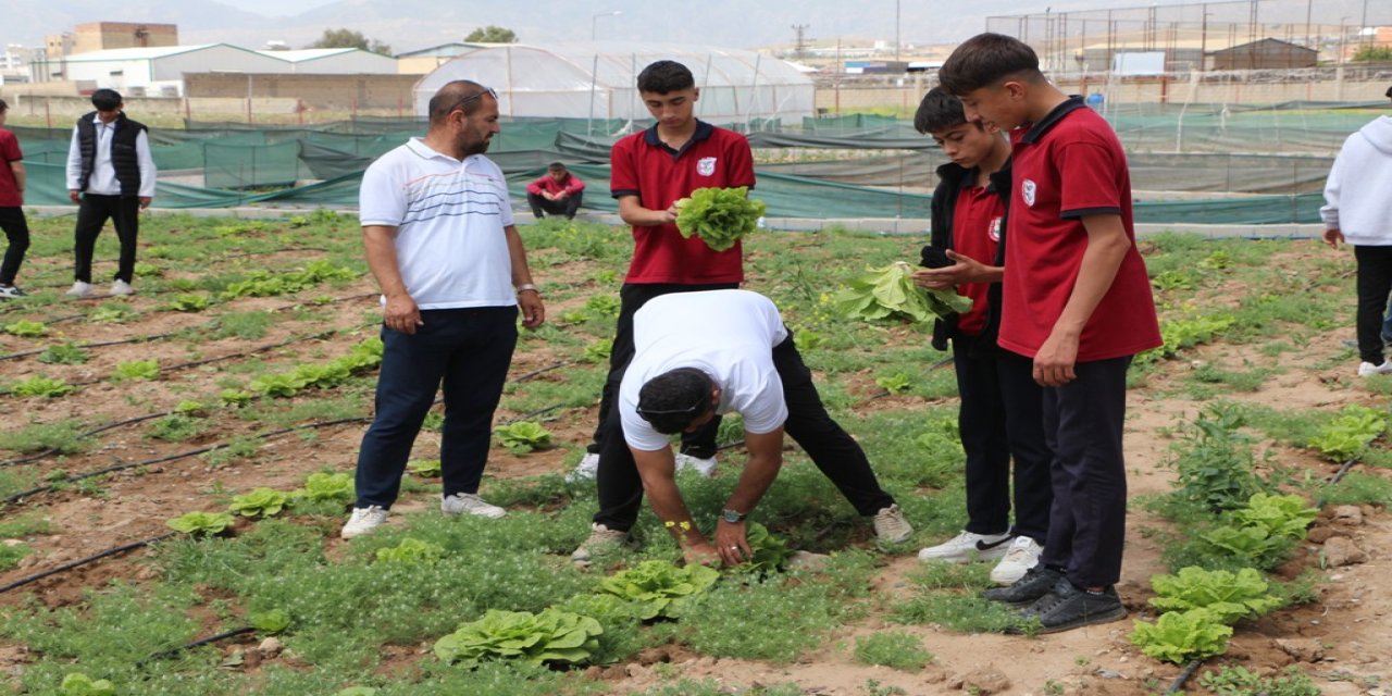Silopi MTAL öğrencileri uygulamalı tarım eğitimiyle toprağı yeşertiyor