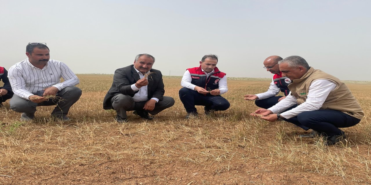 Şırnak’ta Tarımda Kuraklık Tehlikesi: Yetkililer Sahada!