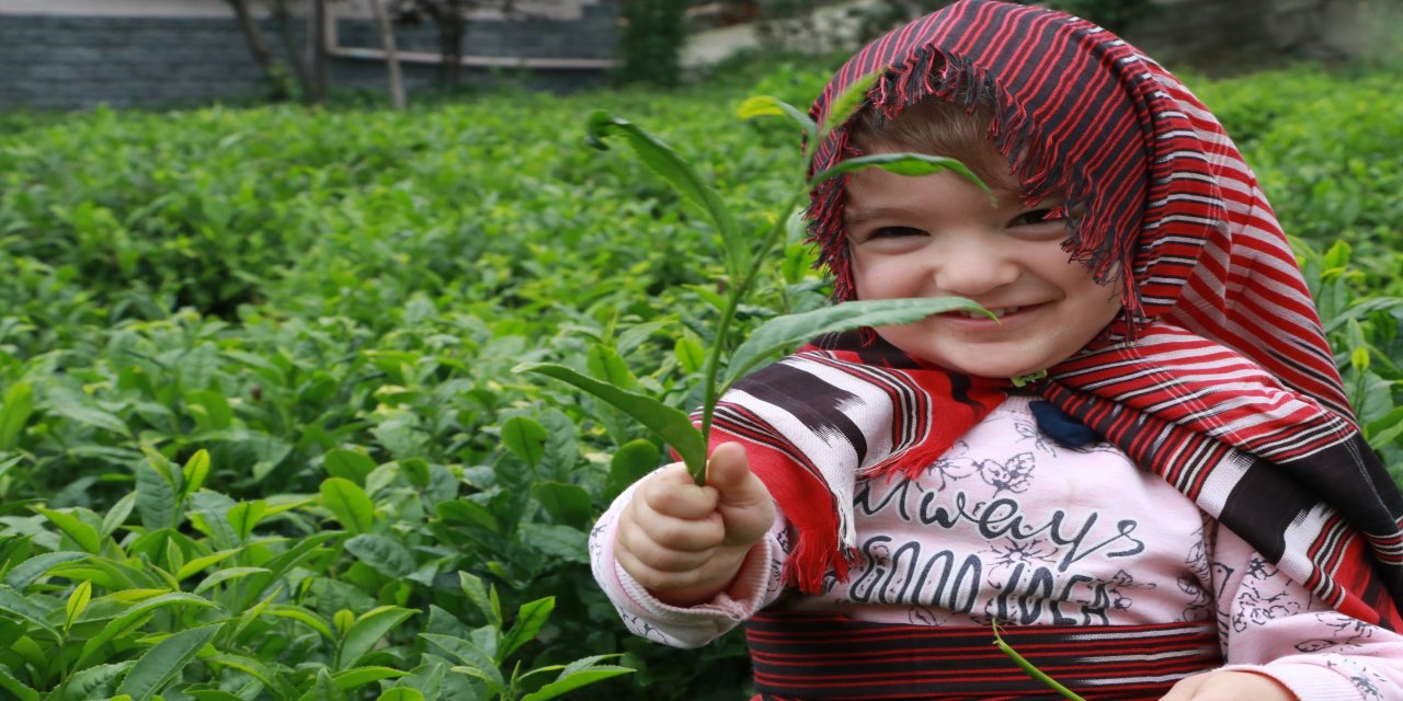 Açıklanan çay taban fiyatı Rizelileri böldü